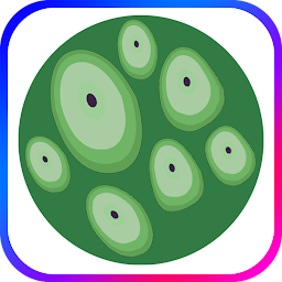 Trypophobia ASMR