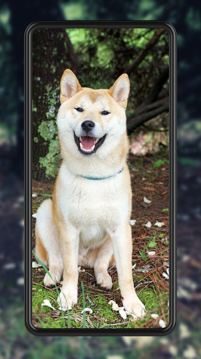 Fondo De Pantalla De Perros Screen 2