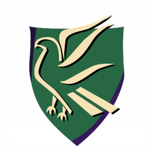 Tyger Valley College logo