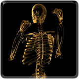 Skeleton Video Live Wallpaper icon