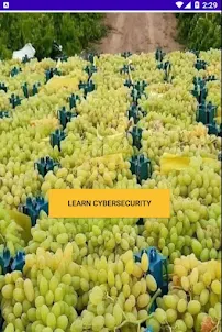 learn cyberSecurity