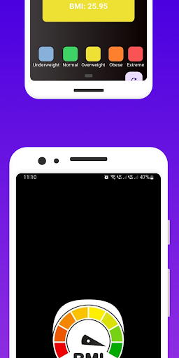 BMI Calculator Mini Screen 2