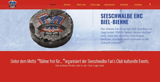 Seeschwalbe Fan’s Club Biel Screen 2