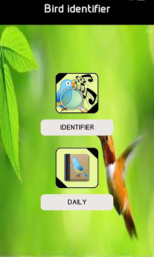 Android application Bird song identifier screenshort
