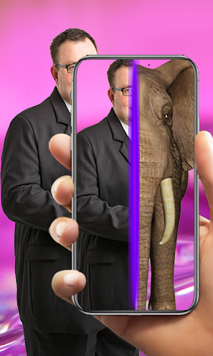 Which Animal Are You? What Animal Do I Look Like?