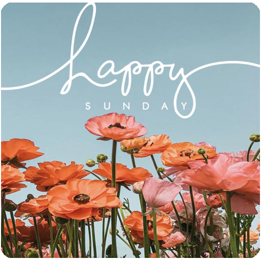 Smile It´s Sunday logo