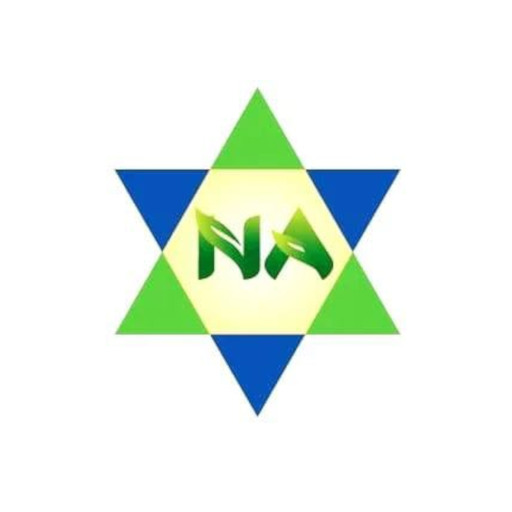 Natural Academy logo