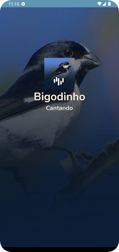 Android application Bigodinho Cantando Muito screenshort