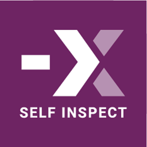 Next Inspect Self Inspect 2.2.10 Icon