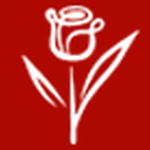 Roza4u logo