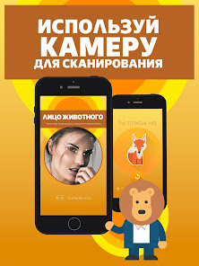 Скриншот