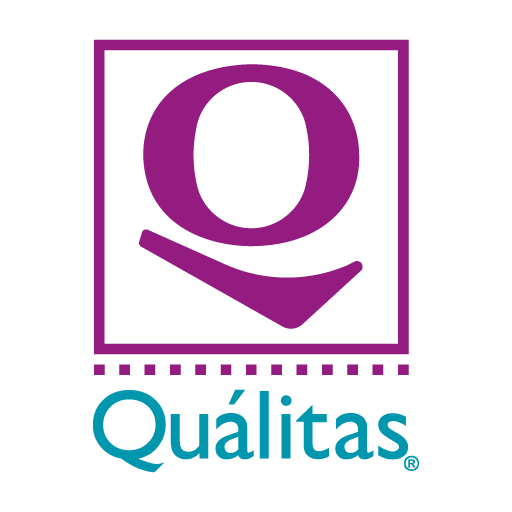 Quálitas PiN 10.5 Icon