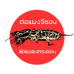 Cover Image of 下载 เสียงล่อแมลงกระชอน  APK