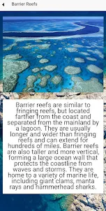 Reef types