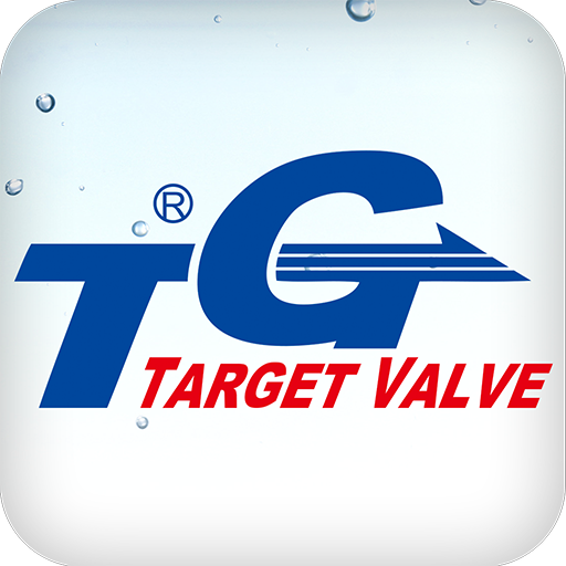 TARGET VALVE