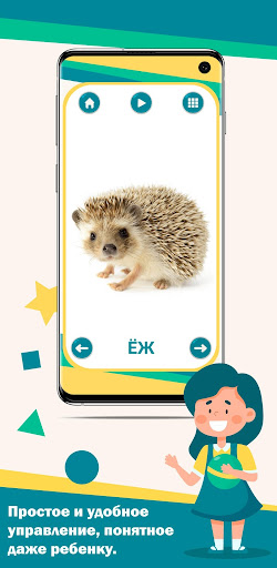 Карточки животные