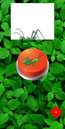 Cricket Sound Effect