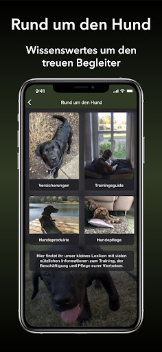 Black Dog Down - Hunde-Reisen Screen 3