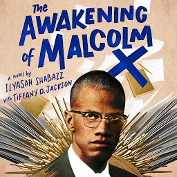 Icon image The Awakening of Malcolm X: A Novel