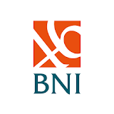 BNI Annual Report 2013 icon