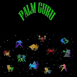 PalmGuru icon
