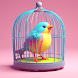 Save the Birds - Androidアプリ