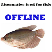 Alternative feed for fish