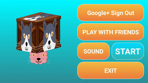 Cat Brain  Challenge Game