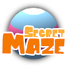 Secret Maze