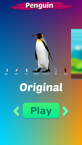 Android application AnimalMeme Simulator68 Penguin screenshort