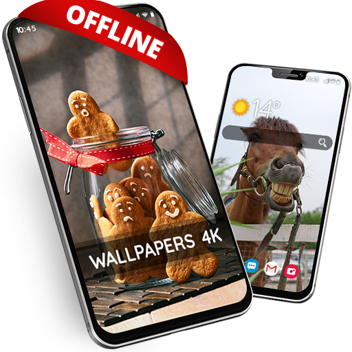 Funny wallpaper offline