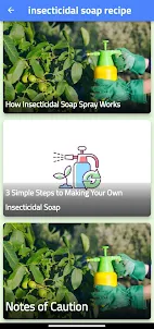 insecticidal soap recipe