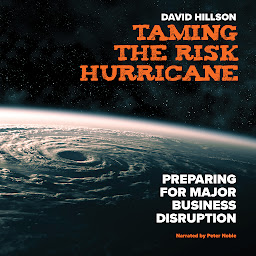 Icon image Taming the Risk Hurricane: Preparing for Major Business Disruption