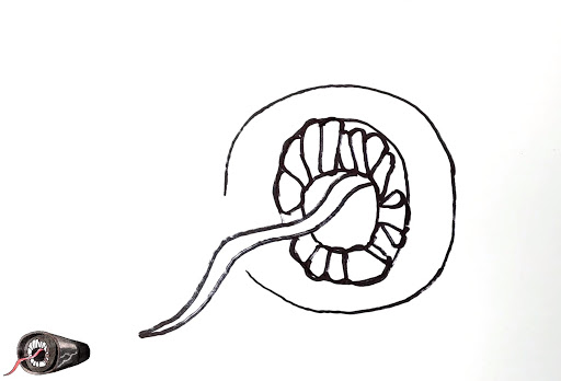 How to draw a sirenhead guide  Screenshot 4 - AppWisp.com