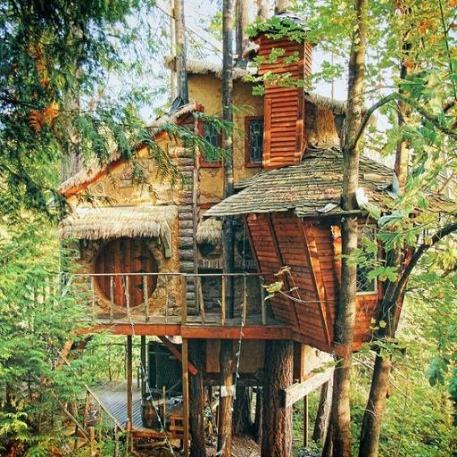 Treehouse  Icon