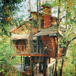 「樹上の家」のアイコン画像