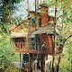 Treehouse Unduh di Windows