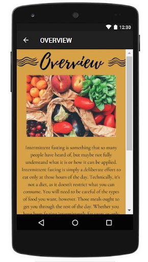 INTERMITTENT FASTING MEAL PLAN Screen 2