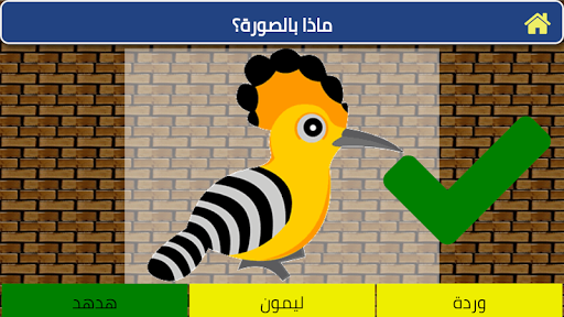 learn Arabic letters with game
