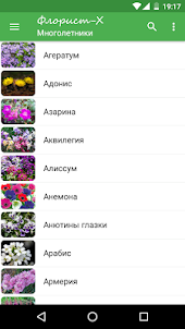 Всё о растениях и цветах