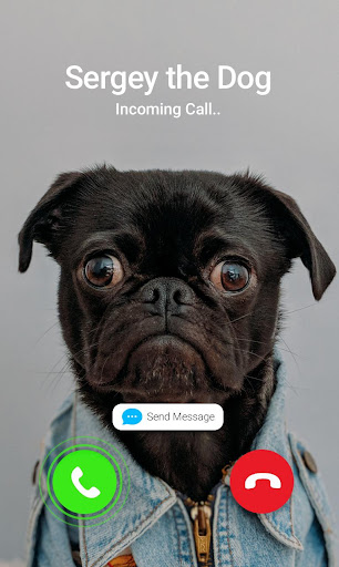 Android application Fake Call Prank- Animals screenshort