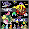 Life at Space