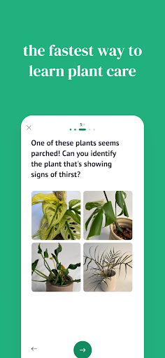 Anteprima dell'app