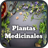 Medicinal Plants and Remedies icon