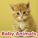 Baby Animals icon