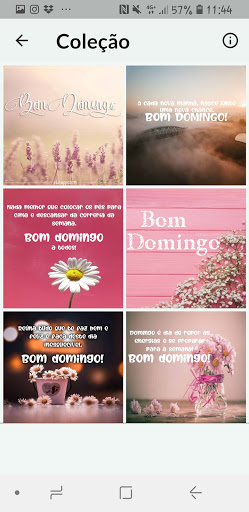 FELIZ DOMINGO PARA VOCÊ