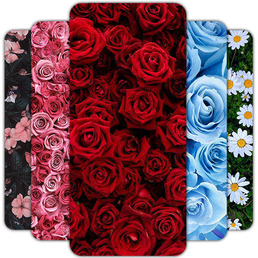 Flower Wallpaper HD – 4k  Icon