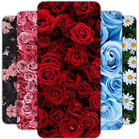 ? Flower Wallpaper HD – 4k colorful wallpapers ?