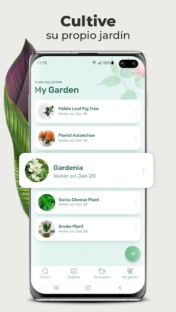 ¿Amante de las plantas? Conoce Blossom,  la app que te ayuda cuidarlas - reaO1b2tWLn7CfjyLZjZak7i-omy9NEGcg2UoFuVgisQ3HJTWSxyjbVeAi2ucjBuiYE=w1366-h625-rw