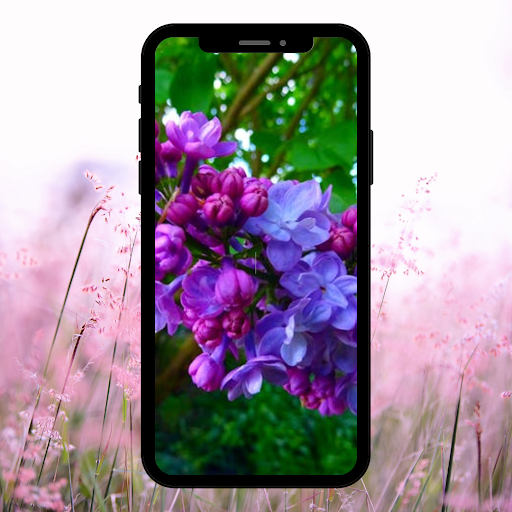 flower wallpaper Screen 3